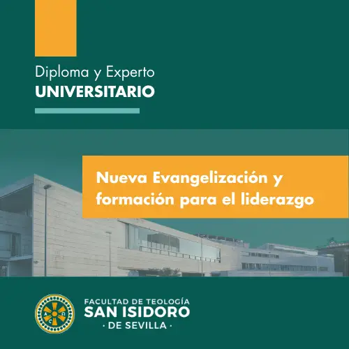 Experto universitario