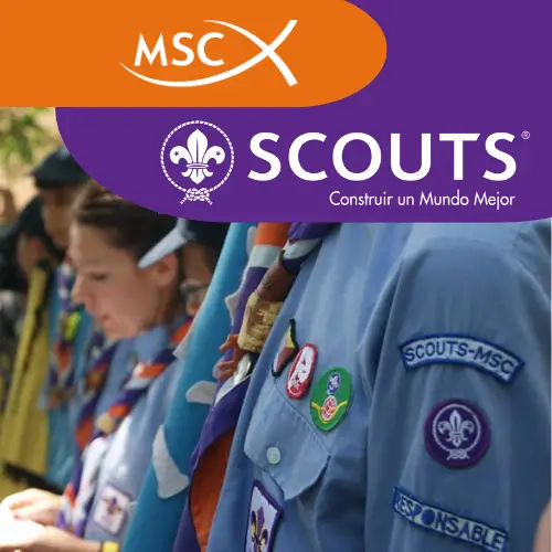MSC SCOUTS